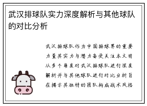 武汉排球队实力深度解析与其他球队的对比分析