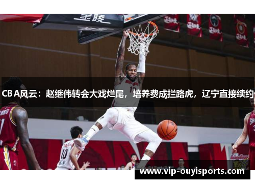 CBA风云：赵继伟转会大戏烂尾，培养费成拦路虎，辽宁直接续约